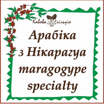 37 АРАБІКА НІКАРАГУА (MARAGOGYPE)