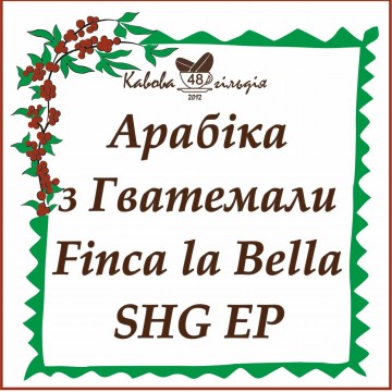 48 АРАБІКА ГВАТЕМАЛА (BELLA)