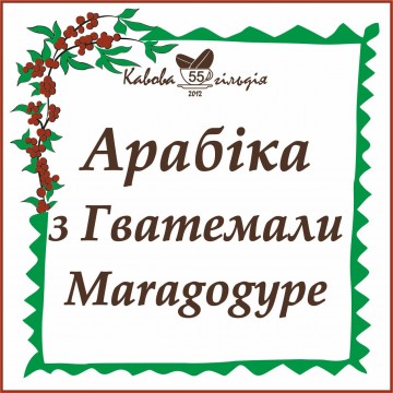 55 АРАБІКА ГВАТЕМАЛА (MARAGOGYPE)