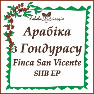 16 АРАБІКА з ГОНДУРАСУ (San Vicente)